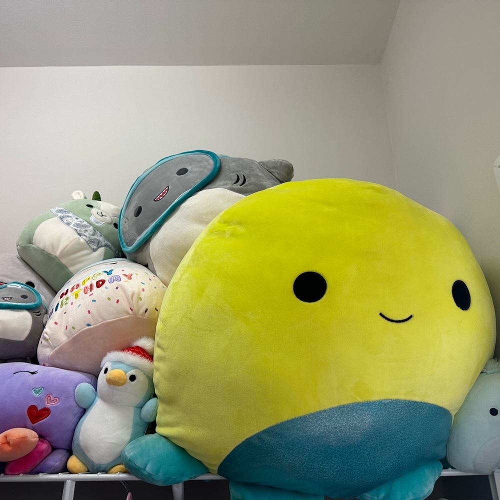 Selling multiple squishmallows. Most have tags.